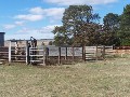 Uralla Fattening Block Picture Uralla Fattening Block Picture