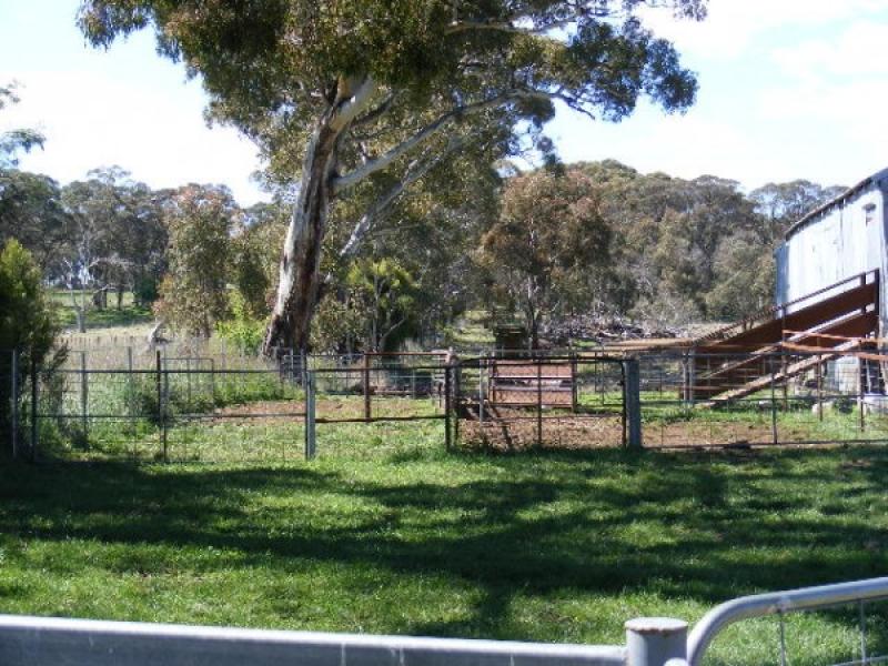 Where Everyone Wants To Be Picture 2