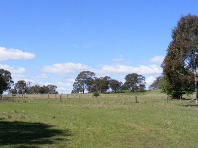 Where Everyone Wants To Be Picture