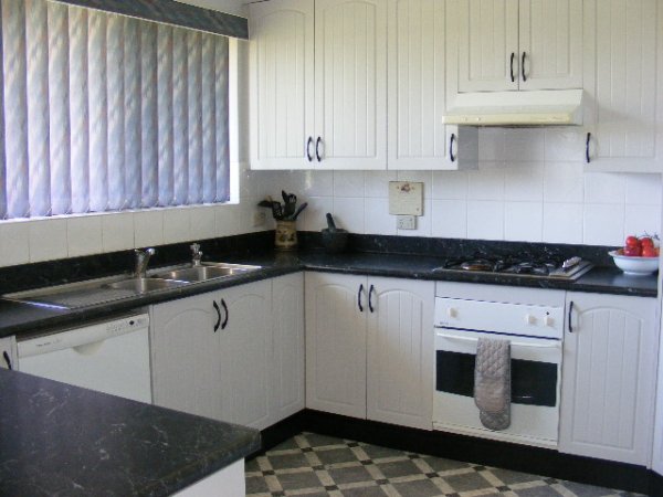 Family Sized Everything! Picture 2