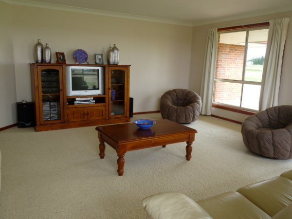 So many Options Picture 2