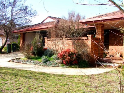 Perfect Family Starter Picture