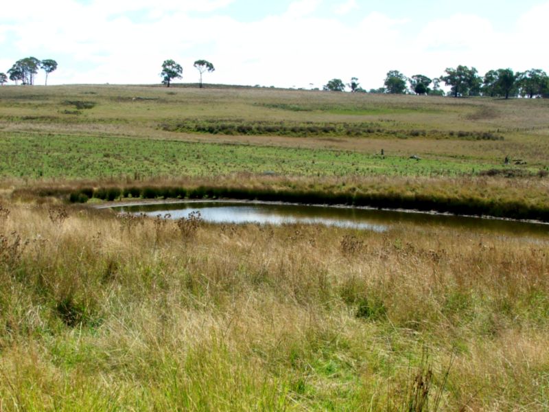 Greenwood - Huge Potential. Picture 2