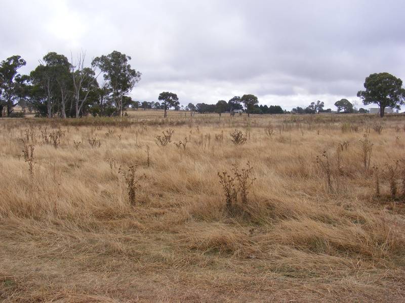 LIfestyle Block Picture 1