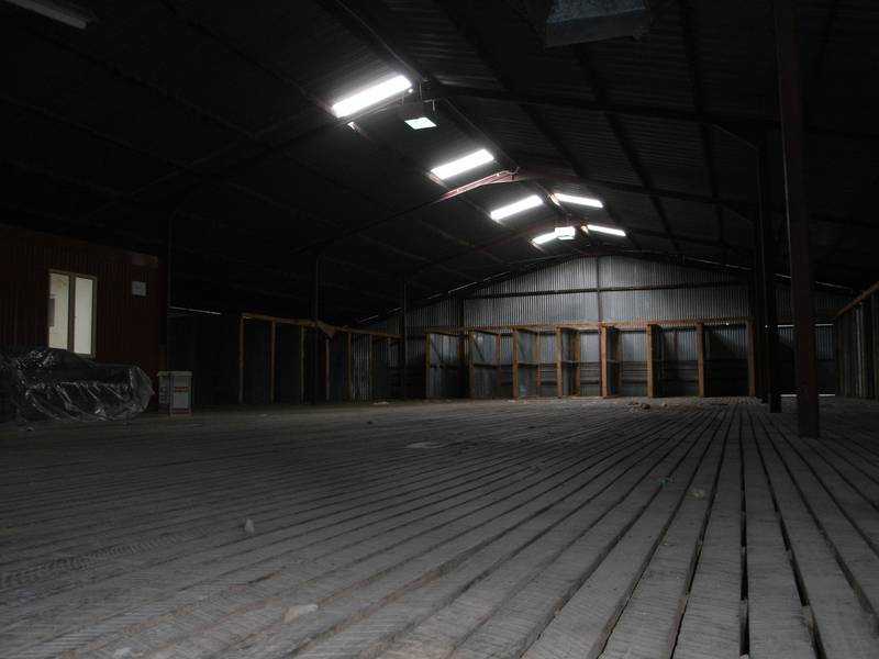 Commercial Shed!!! Picture 2