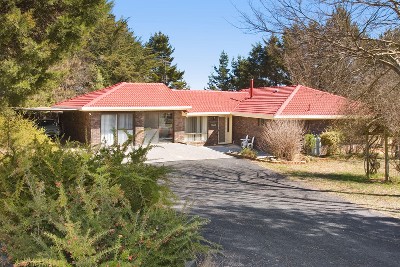 Motivated Vendors Keen to Sell Picture Motivated Vendors Keen to Sell Picture