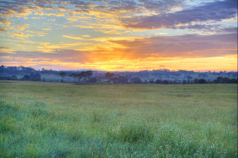 Saumarez Estate Picture 3