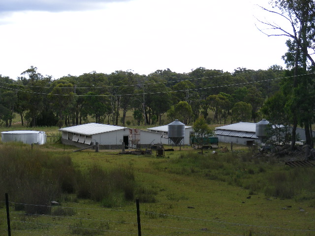 Bring Home the Bacon Picture 1