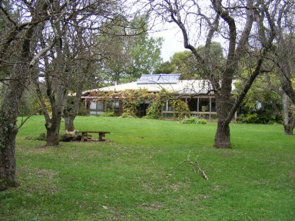 Low Maintenance Grazing Property Picture 1