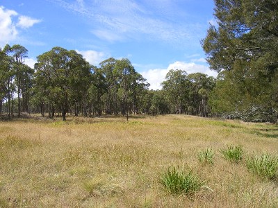 Under Instructions to Sell Picture Under Instructions to Sell Picture