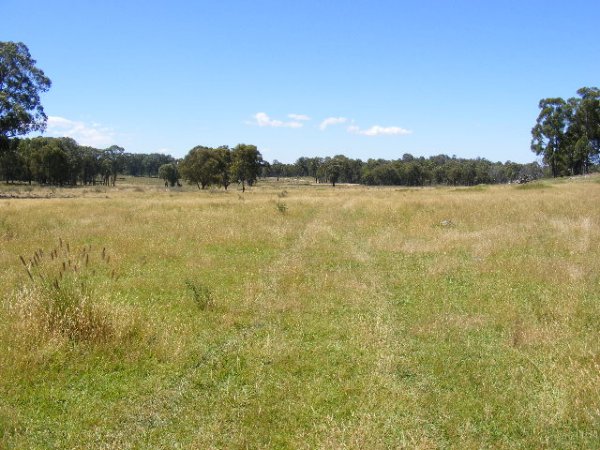 Magnificent Home On Acres Picture 2