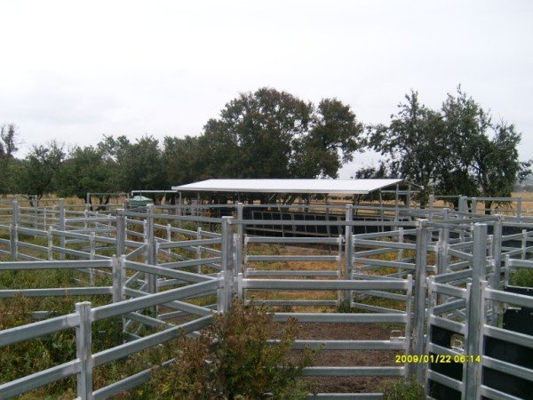 Reluctant to Sell Picture 2