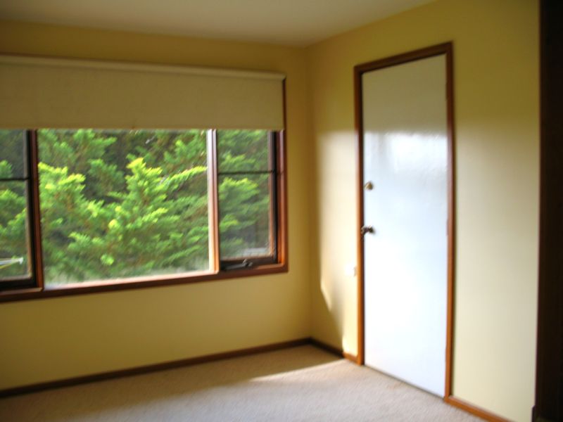 Seize This Opportunity. Picture 2