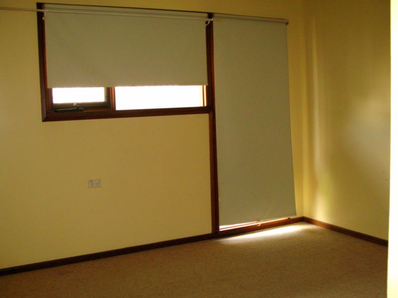 Seize This Opportunity. Picture 3