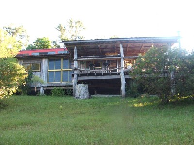 Beauty in the Bush on the Nymboida Picture