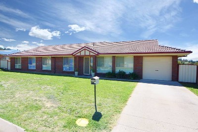 Brick Beauty Picture