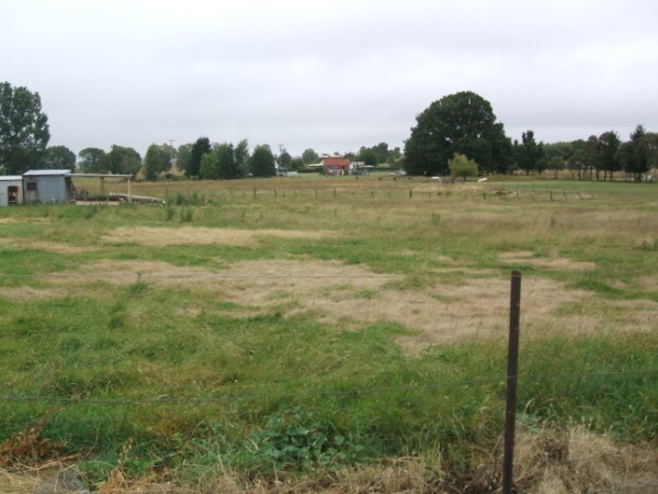 Neat home with future potential Picture 1