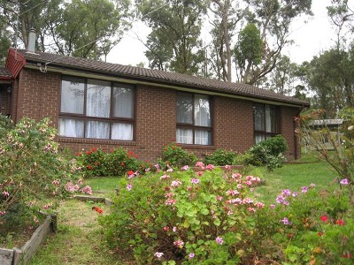 Court Location on large block Picture