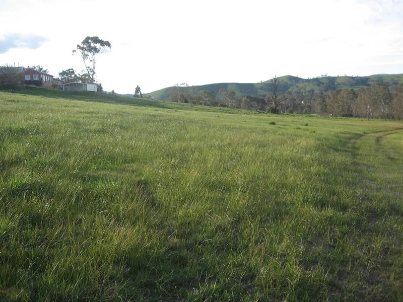 Land Subdivision Picture 3