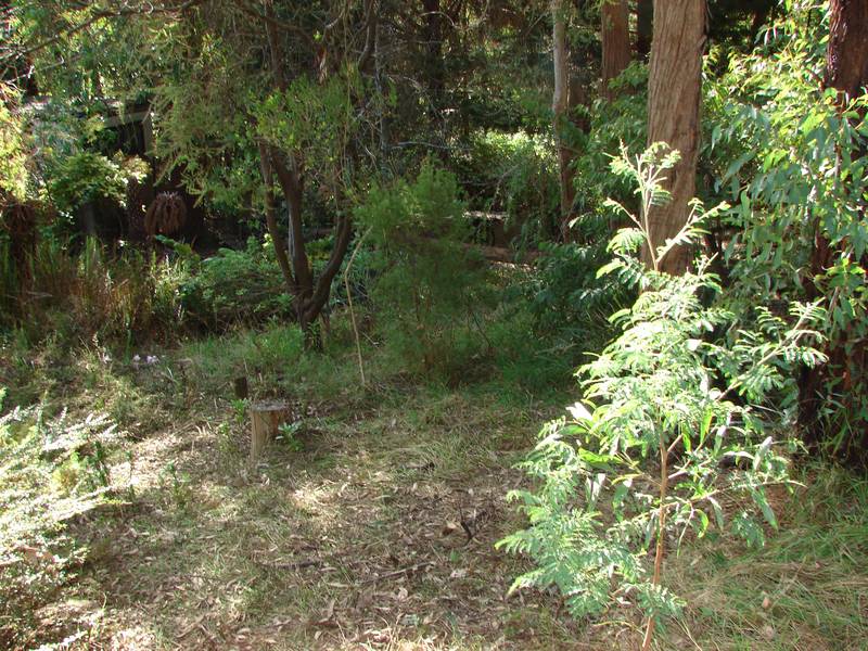 Make me an Offer!!!!! Picture 2