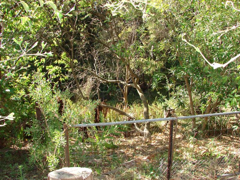 Make me an Offer!!!!! Picture 1