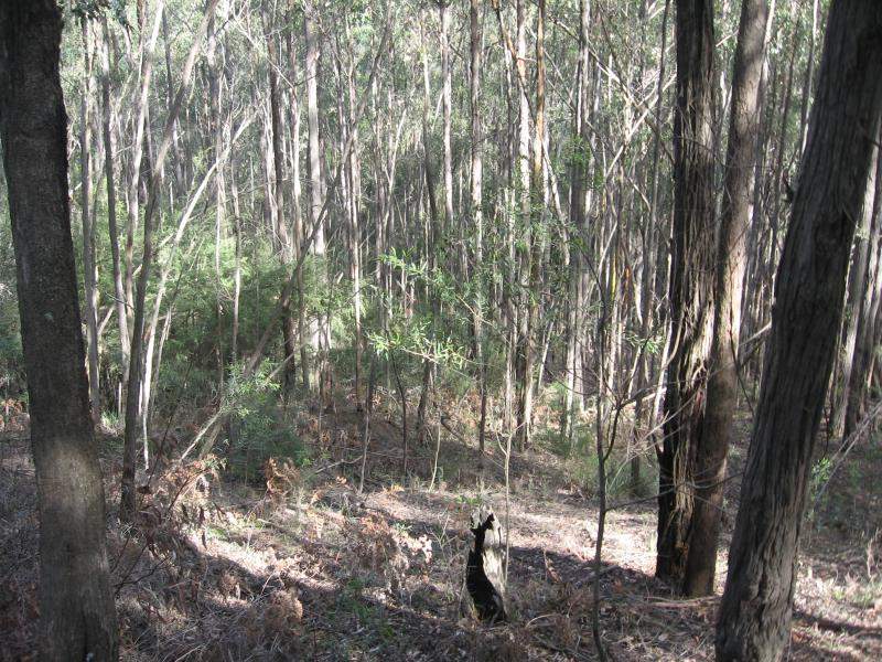 Private Bush Block Picture 1