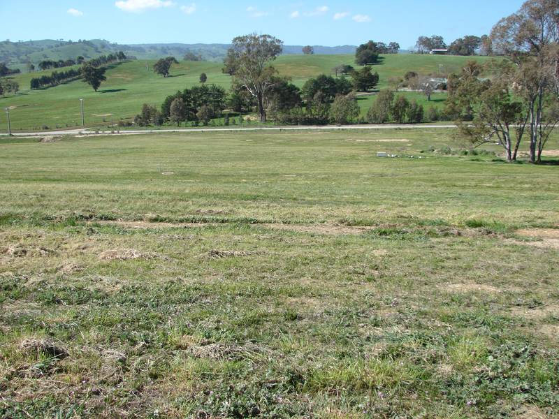 Take advantage of the $29,000 house & Land grant today. Picture 3