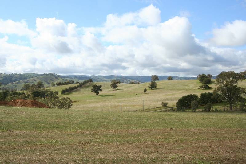 Wattle Gully Estate Picture 1