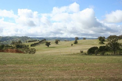 Wattle Gully Estate Picture