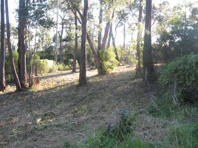 VACANT LAND NOT FAR FROM TOWNSHIP Picture 3