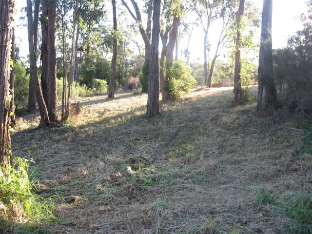 VACANT LAND NOT FAR FROM TOWNSHIP Picture 2