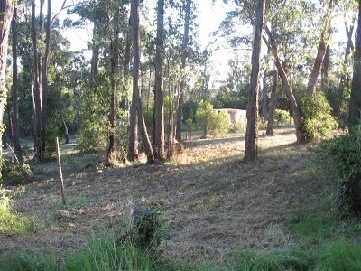 VACANT LAND NOT FAR FROM TOWNSHIP Picture