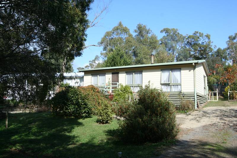 Bright As A Button Picture 1