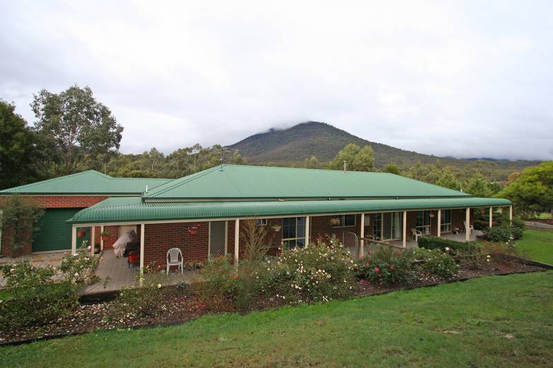 SOMETHING SPECIAL Picture 2