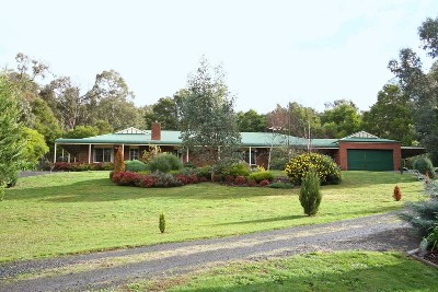 SOMETHING SPECIAL Picture