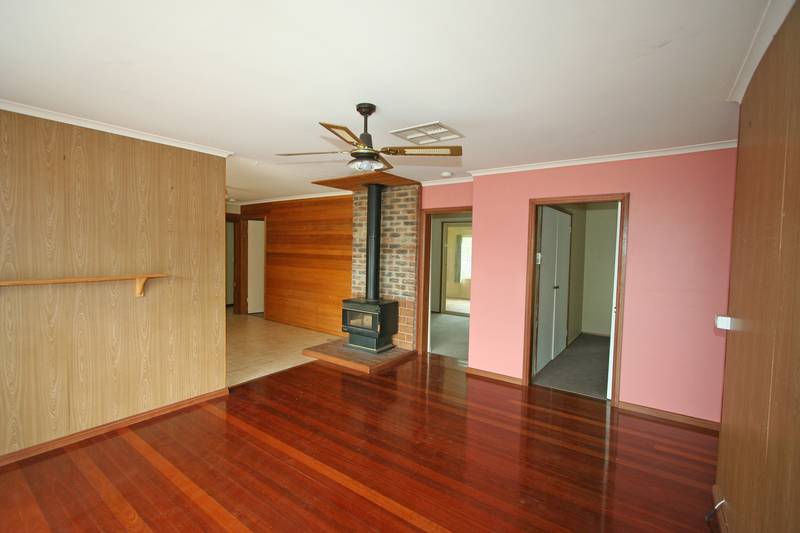 LET THE SUN SHINE IN Picture 3