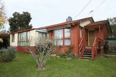 LET THE SUN SHINE IN Picture LET THE SUN SHINE IN Picture