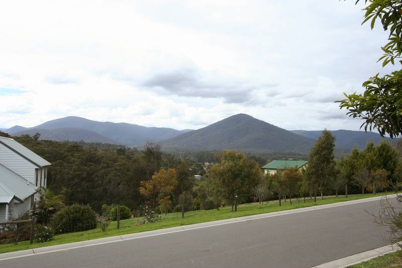 LET THE SUN SHINE IN Picture 2