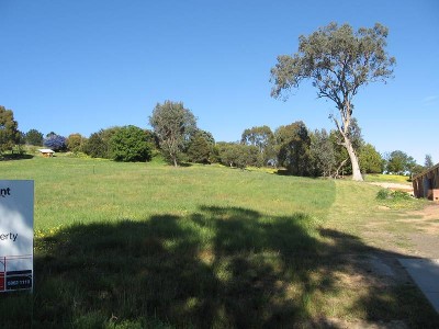 On top of the world Picture