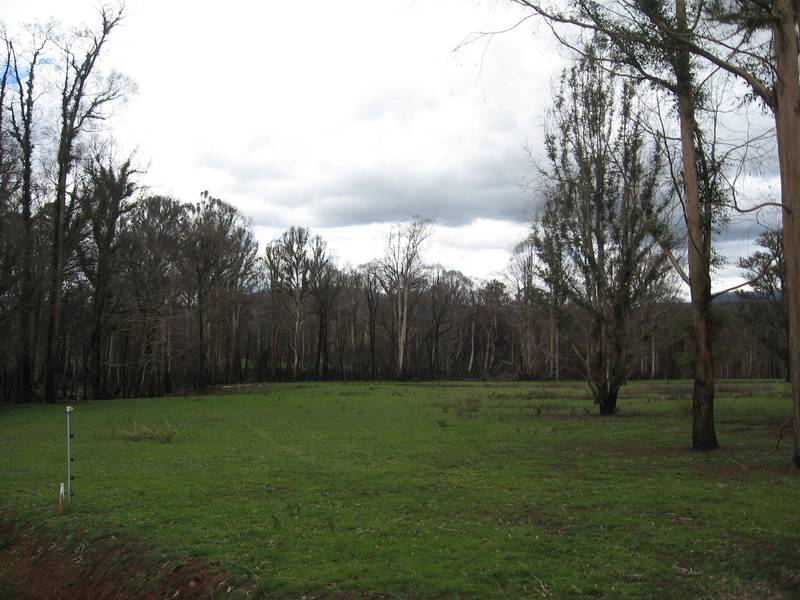 You bring the billy! I will supply plenty of water. Picture 3