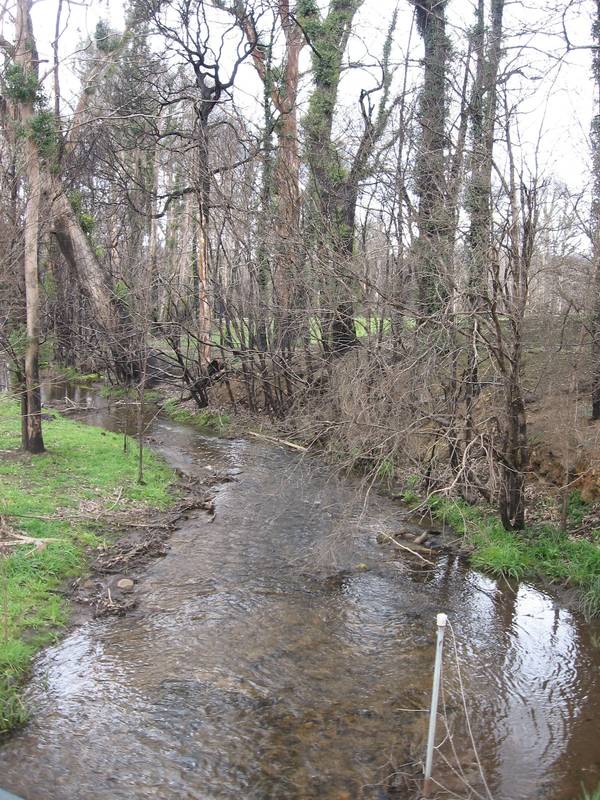 You bring the billy! I will supply plenty of water. Picture 2