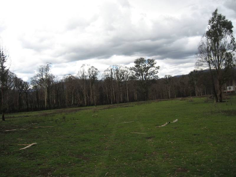 You bring the billy! I will supply plenty of water. Picture 1