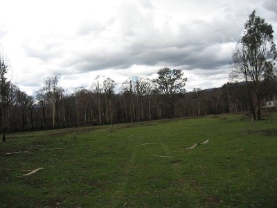 You bring the billy! I will supply plenty of water. Picture You bring the billy! I will supply plenty of water. Picture