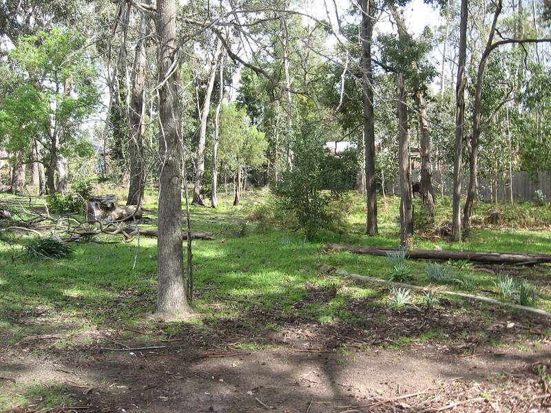 Walk to Town! Picture 3