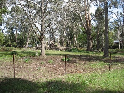 Walk to Town! Picture