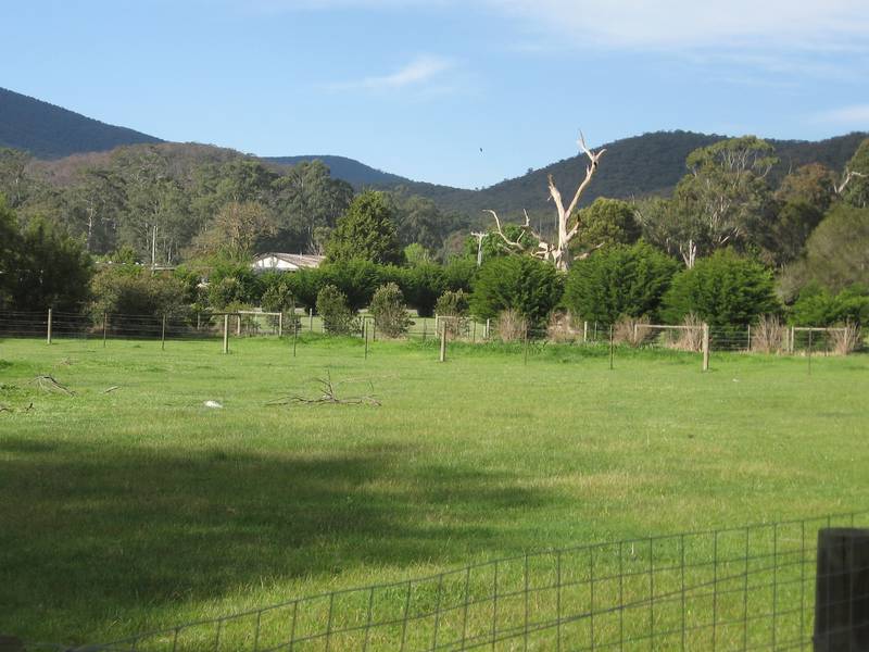 A BLANK CANVAS ..... Picture 1