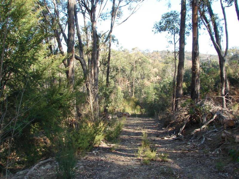 PEACE AND QUIET Picture 1