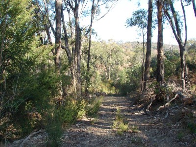 PEACE AND QUIET Picture