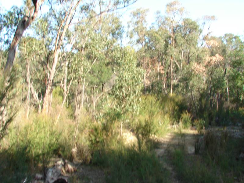 PEACE AND QUIET Picture 2