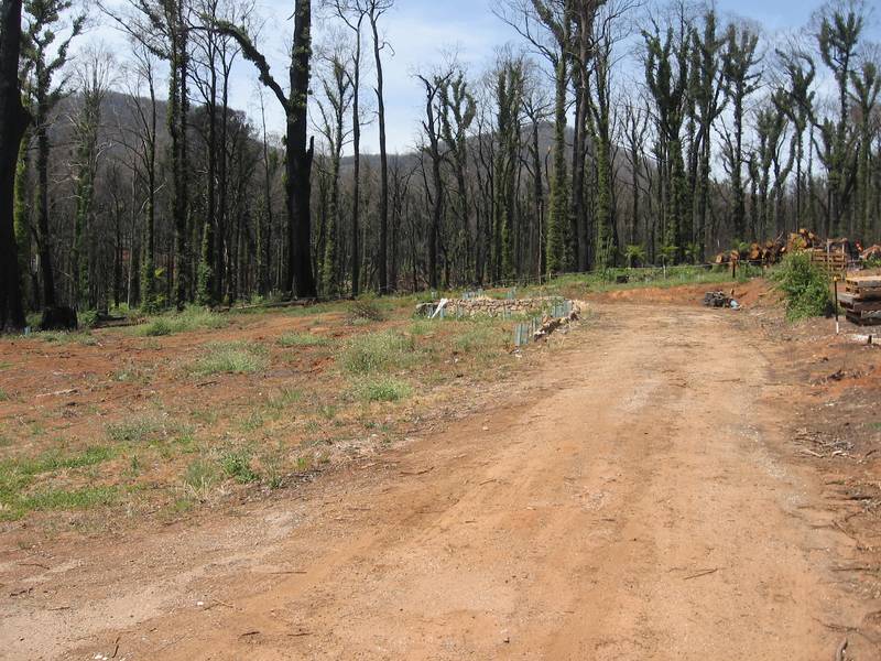 A BLANK CANVAS Picture 3